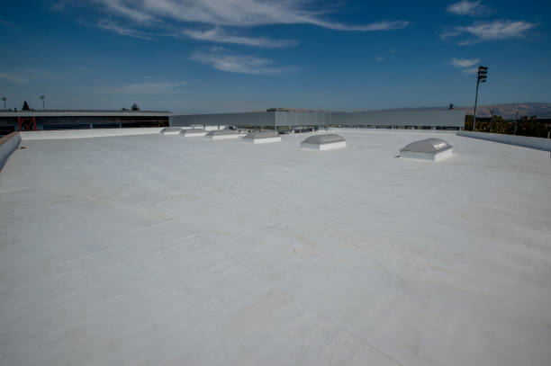 Asphalt Shingles Roofing in Allendale, MI