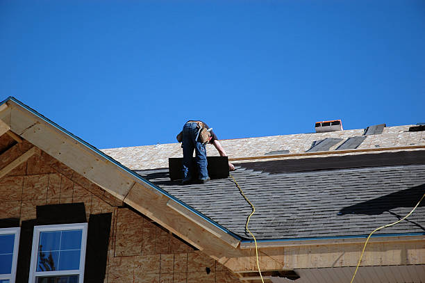 Best Solar Panel Roofing Installation  in Allendale, MI