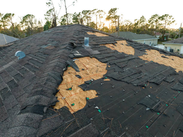 Best Sheet Metal Roofing  in Allendale, MI