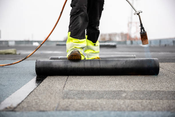 Best Roof Coating and Sealing  in Allendale, MI