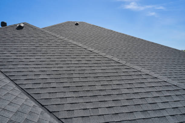 Best Metal Roofing Installation  in Allendale, MI