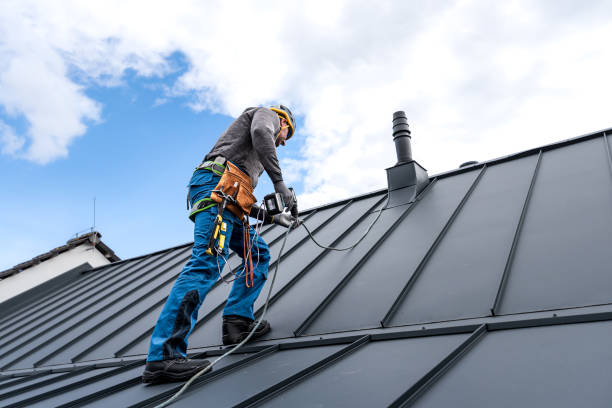 Best Hot Roofs  in Allendale, MI